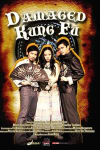 Damaged Kung Fu - Poster