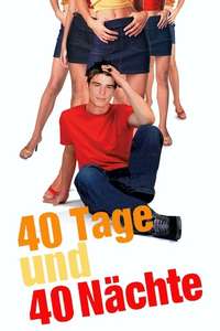 40 Days and 40 Nights - Poster