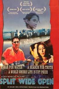 Split Wide Open - Poster