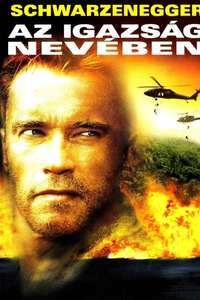 Collateral Damage - Poster