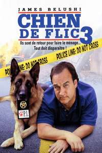 K-9: P.I. - Poster