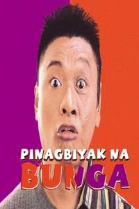 Pinagbiyak Na Bunga: Lookalayk - Poster