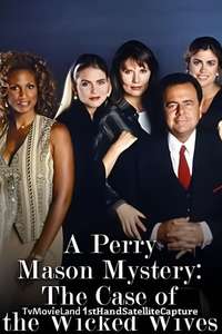 A Perry Mason Mystery: The Case of the Wicked Wives - Poster
