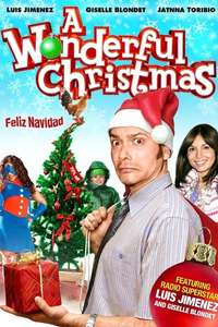 A Wonderful Christmas - Poster