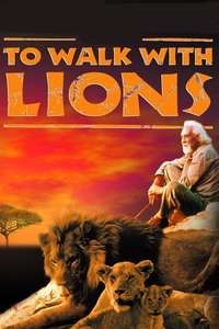 To Walk with Lions - Poster