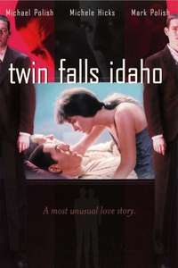 Twin Falls Idaho - Poster