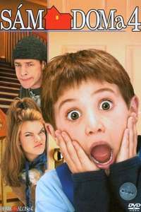 Home Alone 4 - Posters