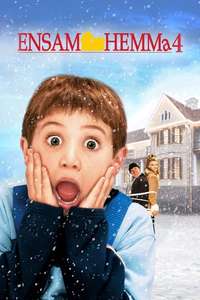 Home Alone 4 - Posters