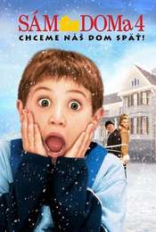 Home Alone 4