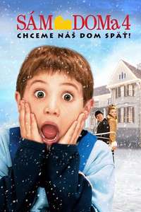 Home Alone 4 - Posters