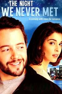The Night We Never Met - Poster