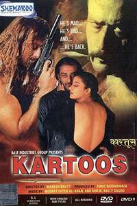 Kartoos - Poster