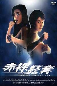 Women on the Run - Poster