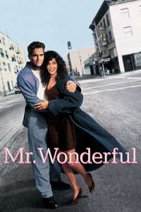 Mr. Wonderful - Poster