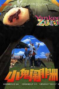 Yankee Zulu - Poster