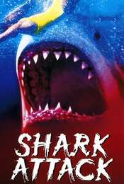 Shark Attack