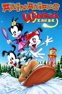 Wakko's Wish - Poster