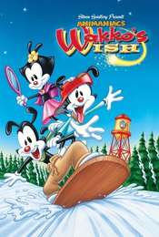 Wakko's Wish