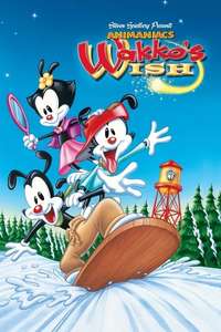 Wakko's Wish - Poster