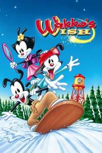 Wakko's Wish - Poster
