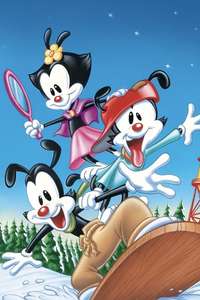 Wakko's Wish - Poster
