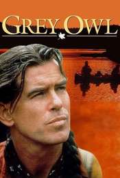 Grey Owl