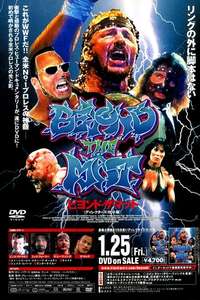 Beyond the Mat - Poster
