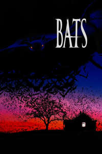 Bats - Poster