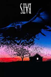 Bats - Poster