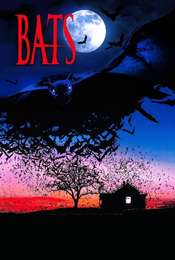 Bats