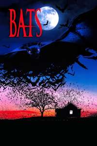 Bats - Poster