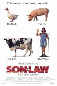 Son in Law - Poster