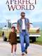A Perfect World