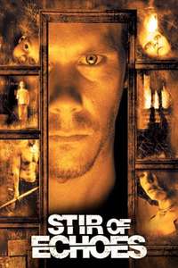 Stir of Echoes - Poster
