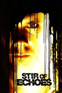 Stir of Echoes - Poster