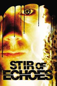 Stir of Echoes - Poster