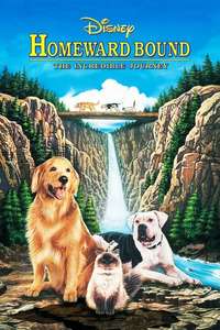 Homeward Bound: The Incredible Journey - Poster
