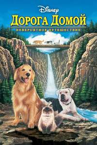 Homeward Bound: The Incredible Journey - Poster