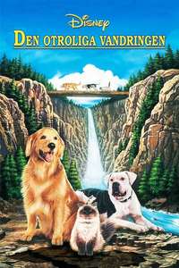 Homeward Bound: The Incredible Journey - Poster