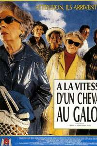 À la vitesse d'un cheval au galop - Poster