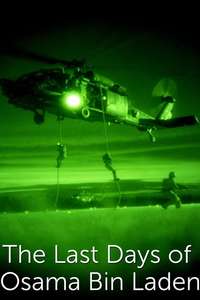 The Last Days of Osama Bin Laden - Poster