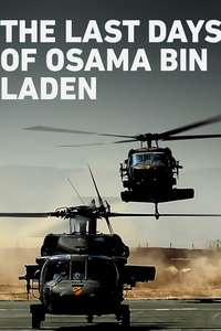 The Last Days of Osama Bin Laden - Poster