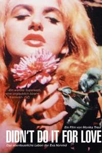 Didn't Do It For Love - Poster
