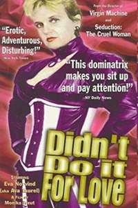Didn't Do It For Love - Poster