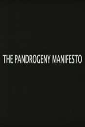 Pandrogeny manifesto