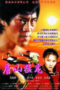 Dragon the Master 2 - Poster