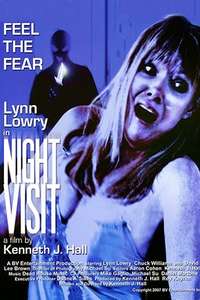 Night Visit - Poster