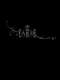 The Fakir