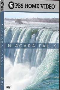 Niagara Falls - Poster