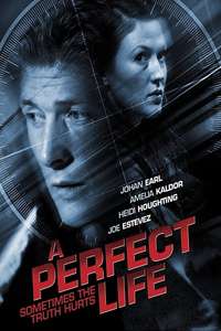 A Perfect Life - Poster